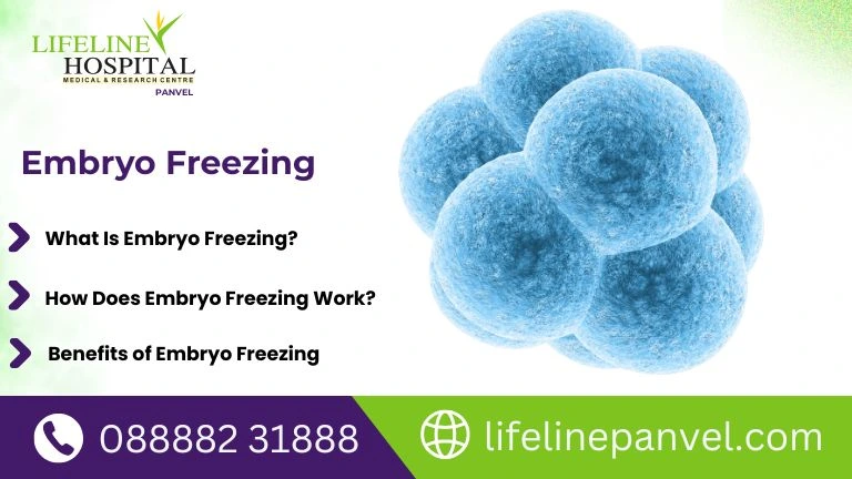 embryo freezing