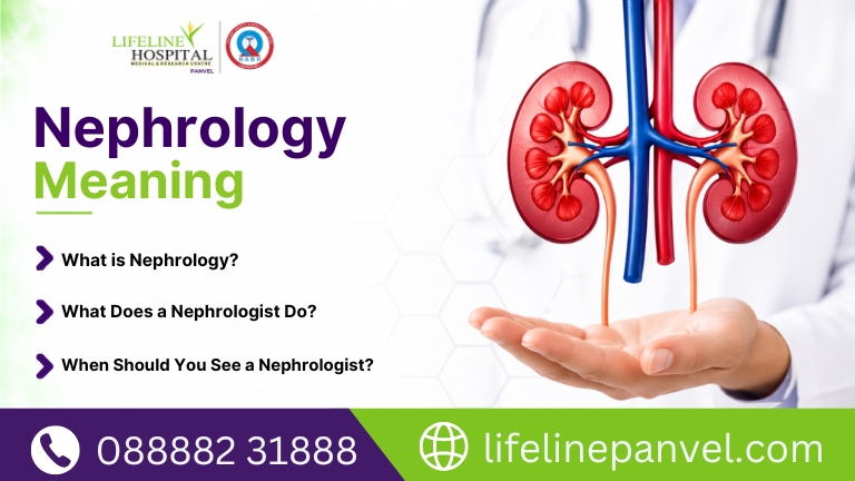 Educational banner by Lifeline Hospital Panvel explaining the meaning of nephrology with a realistic kidney illustration and three key questions: What is Nephrology? What Does a Nephrologist Do? and When Should You See a Nephrologist?