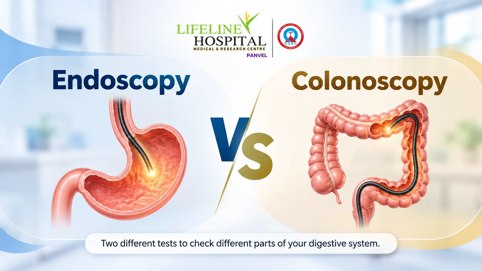 Endoscopy vs Colonoscopy_ Digestive Health Guide